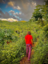 Load image into Gallery viewer, The all New 2024-2025 custom printed, Sungodz "World" Jam Pant in Amalfi Blue