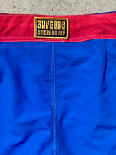 Load image into Gallery viewer, Berry Blue Sungodz Boardshort