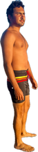 Load image into Gallery viewer, The Sungodz Summer 2026 "Black Beauty" Boardshort
